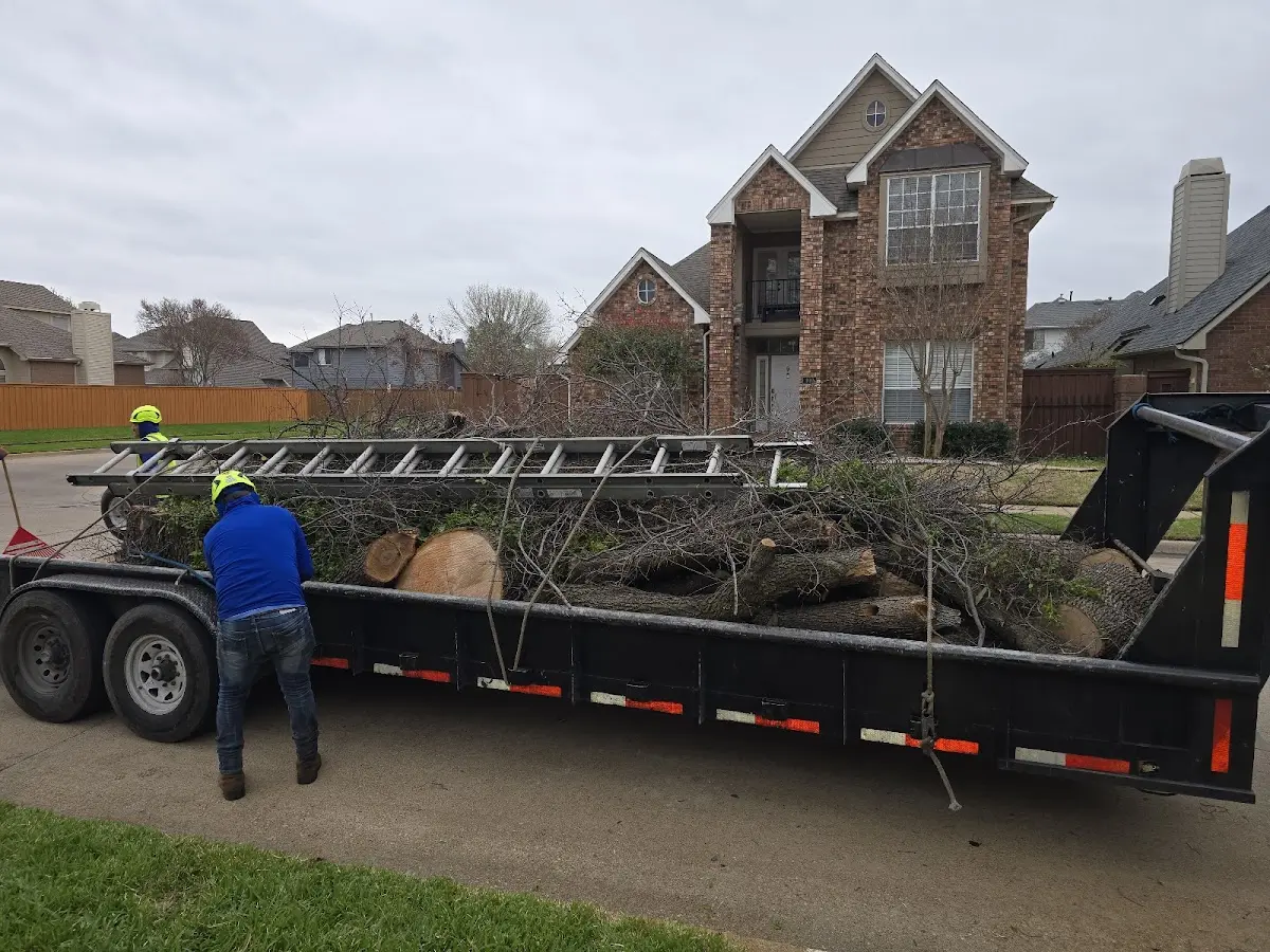 Expert Tree Fertilization with proper safety equipment in Pinon